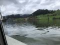 IMG 3971 IMG 3971
