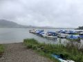 IMG 3981 IMG 3981